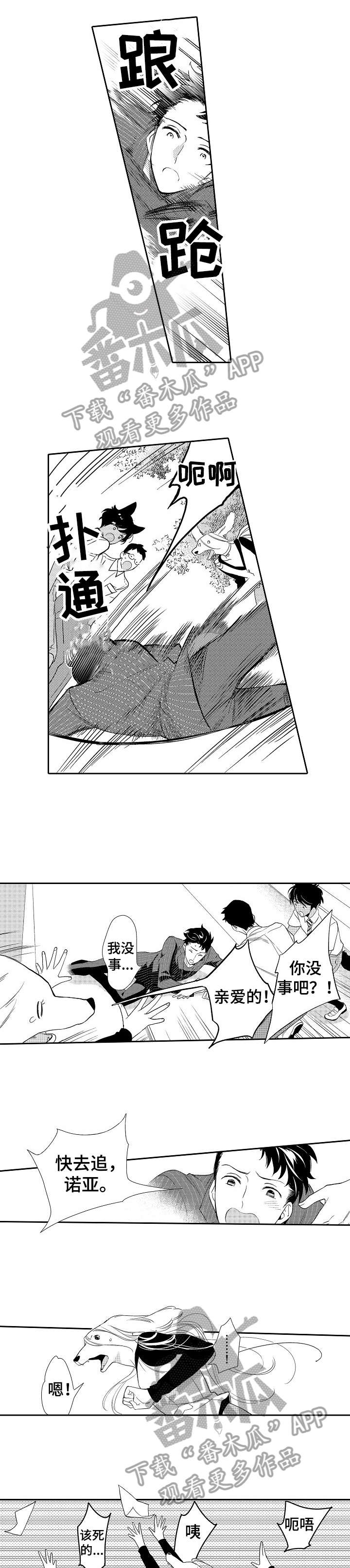 他带来了光第15话图