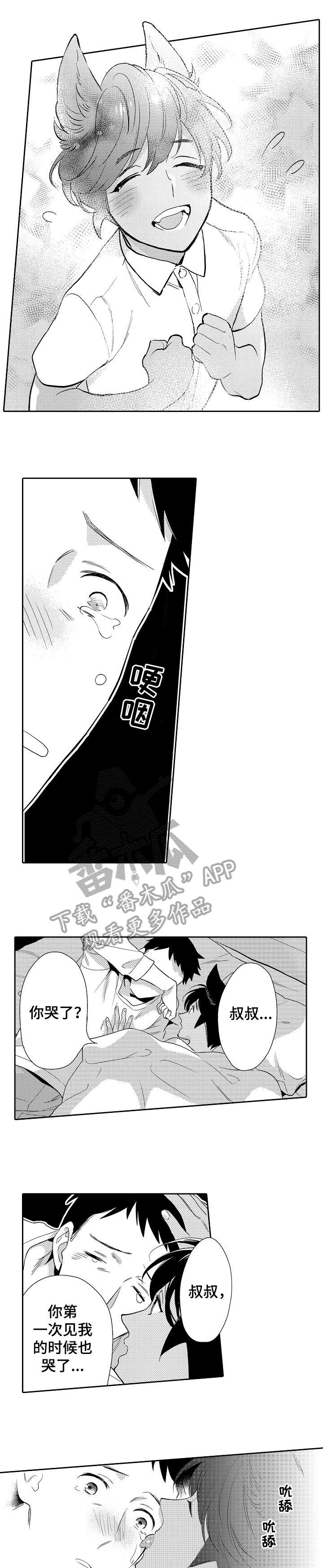 他带来了光第20话图