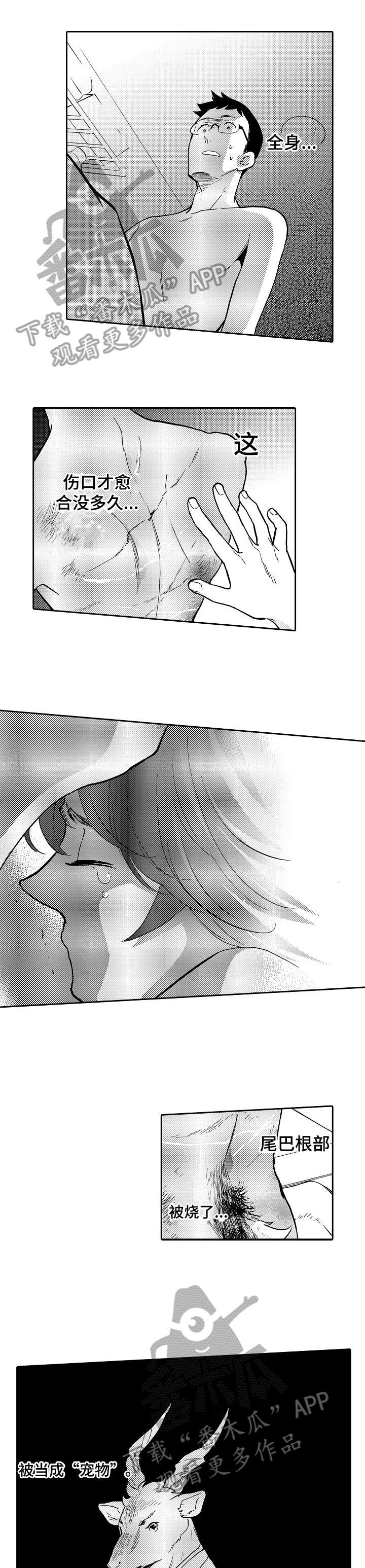 他带来了光第3话图