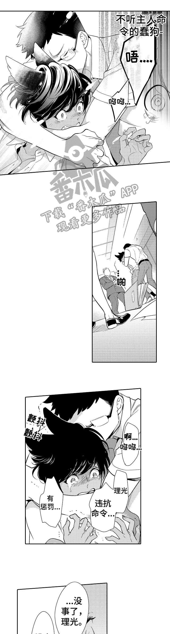 他带来了光第8话图