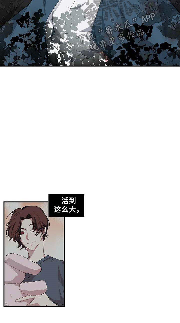 特别研究 第45话 第3页