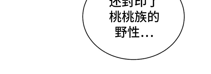 桃子男孩第3话图