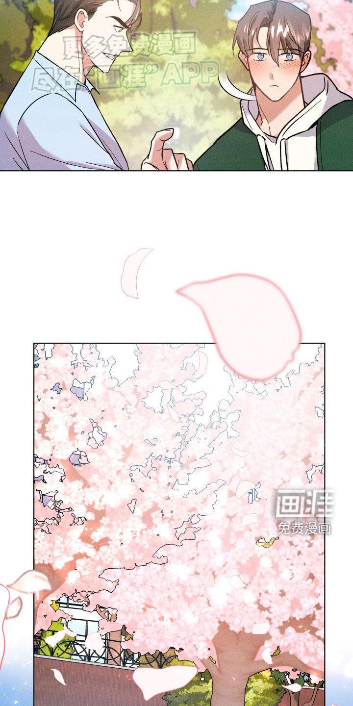 条约拍档第19话图