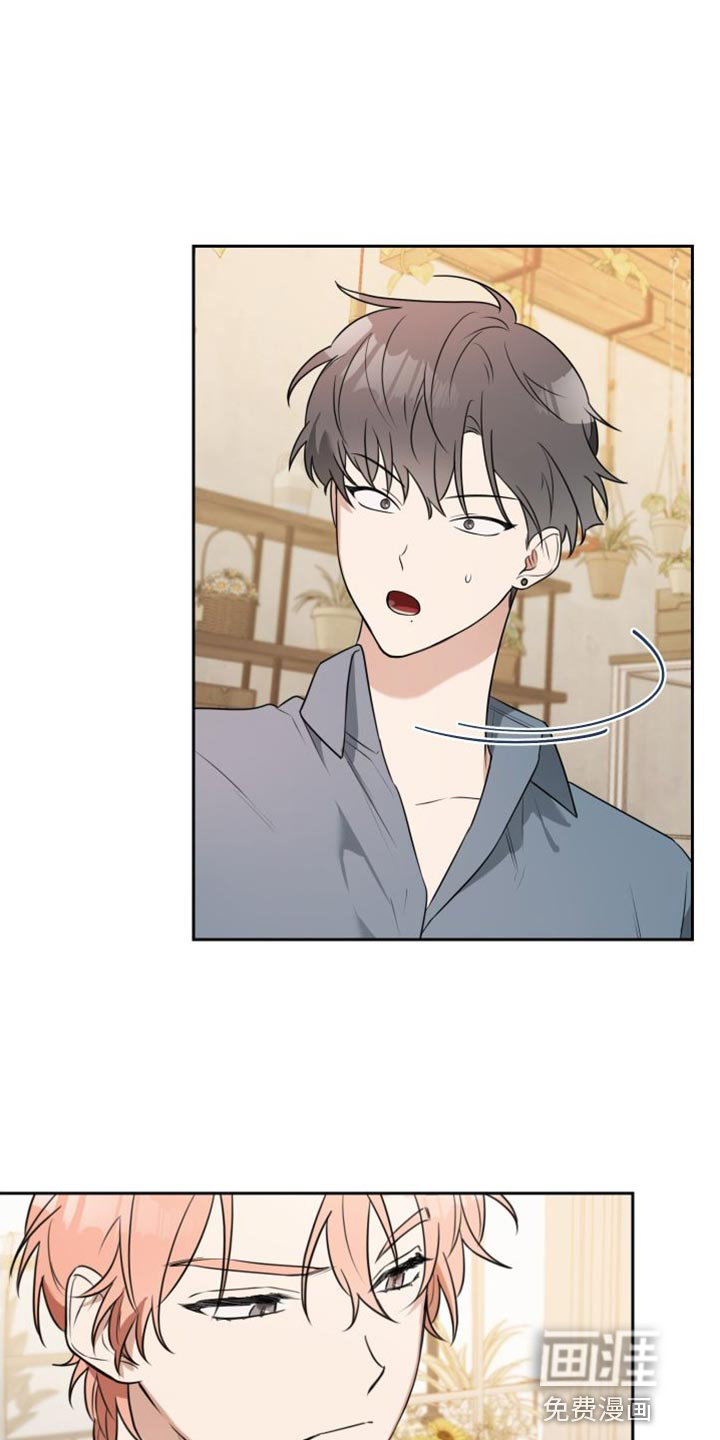 庭院之花第17话图