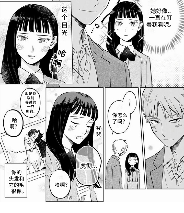 天降赘婿第16话图