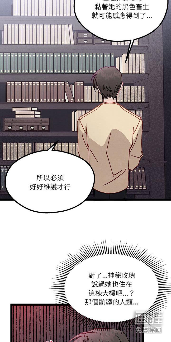 他与她的秘密第46话图