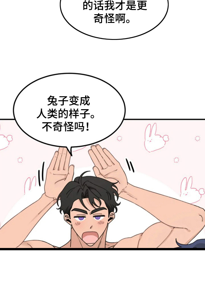 兔兔王子第11话图