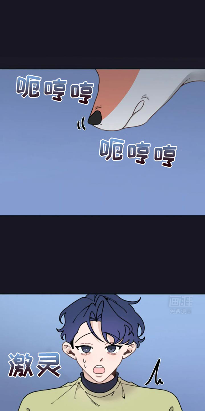 兔兔王子第16话图