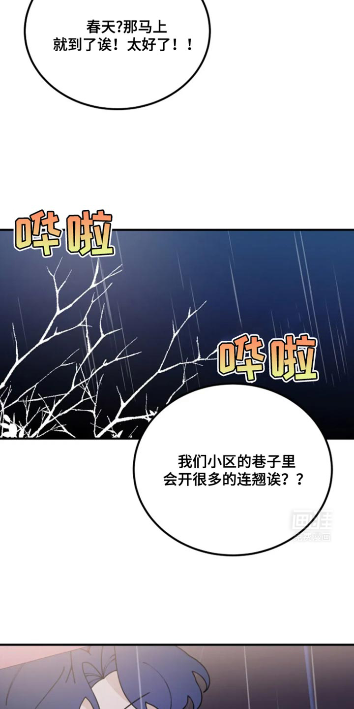 兔兔王子第23话图