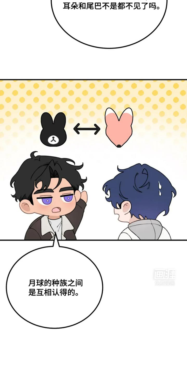 兔兔王子第24话图