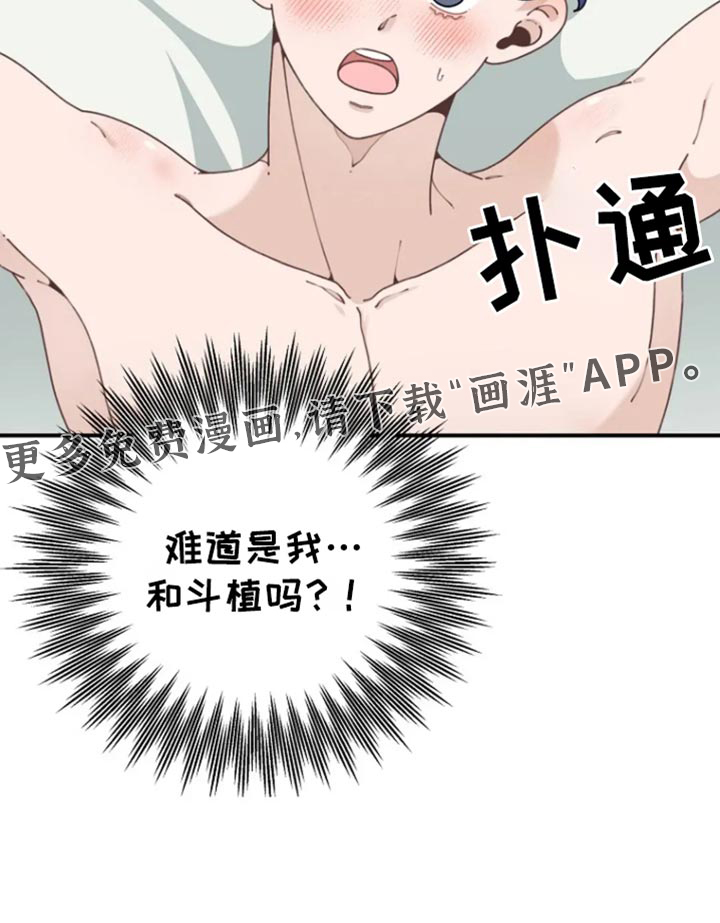 兔兔王子第31话图