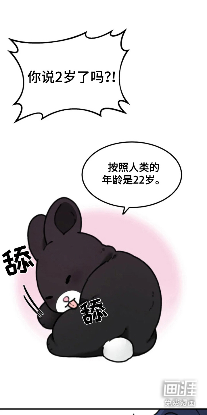 兔兔王子第6话图