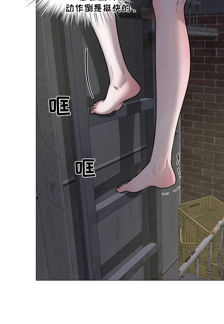 特殊商品第1话图