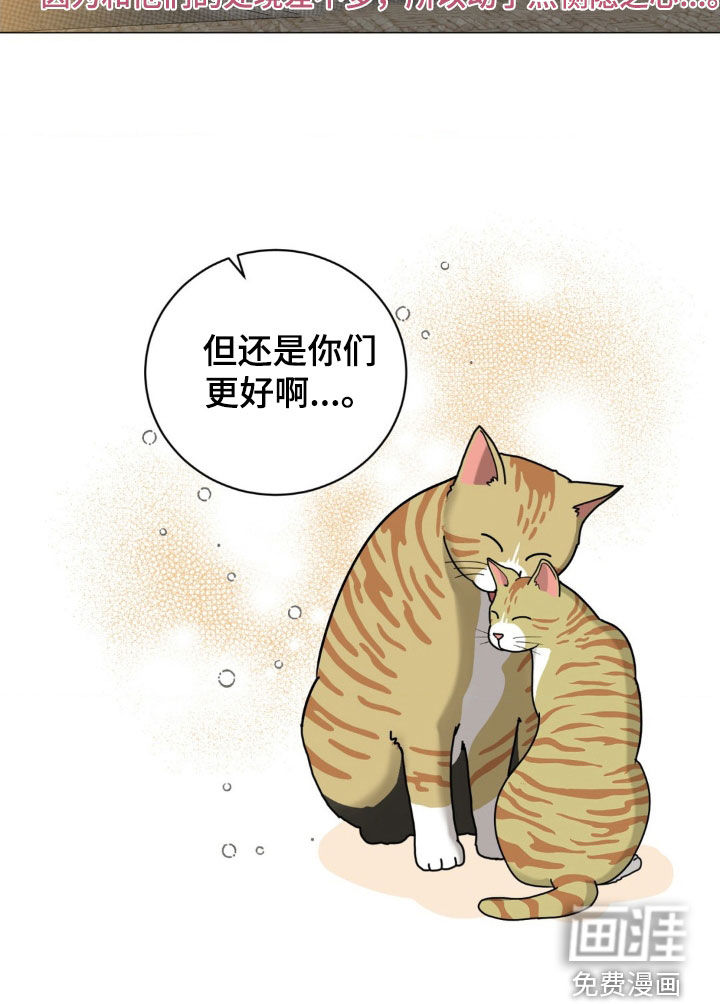 特殊商品第21话图