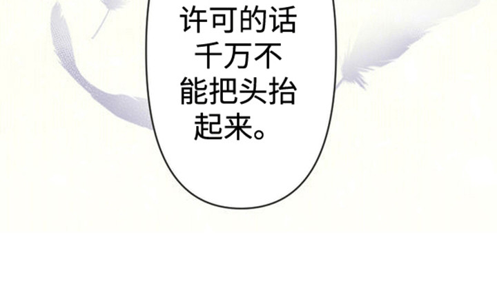 替嫁新娘第4话图