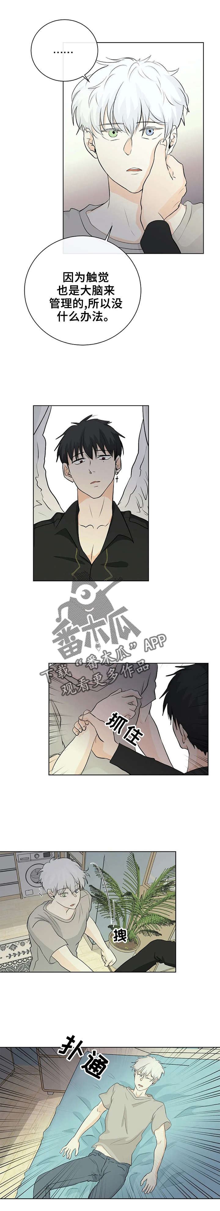 贴身使者第4话图