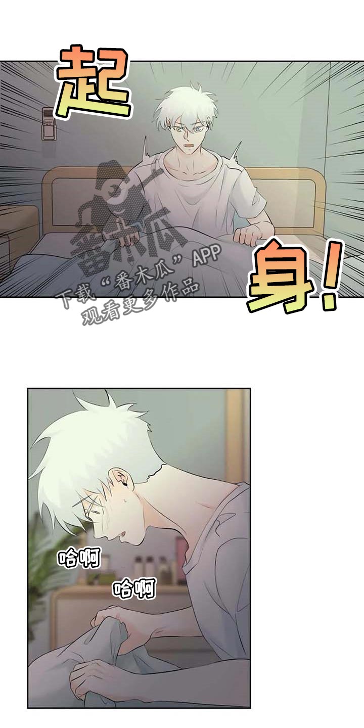 贴身使者第42话图