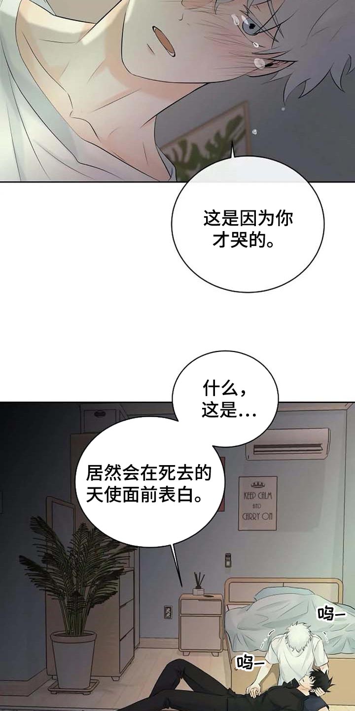 贴身使者第46话图
