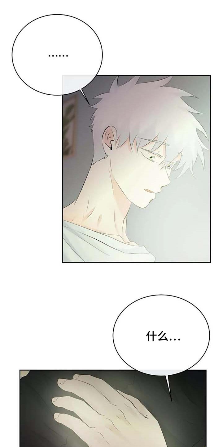 贴身使者第47话图