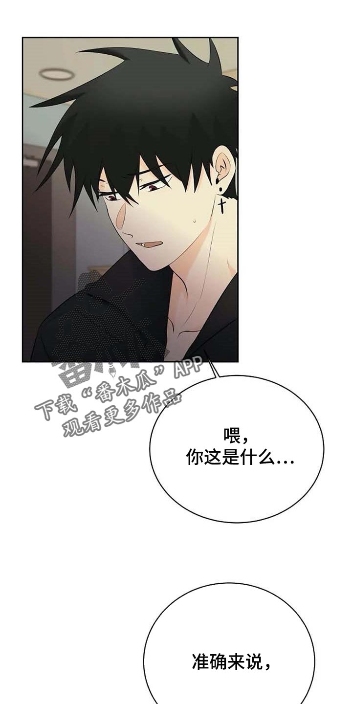 贴身使者第48话图