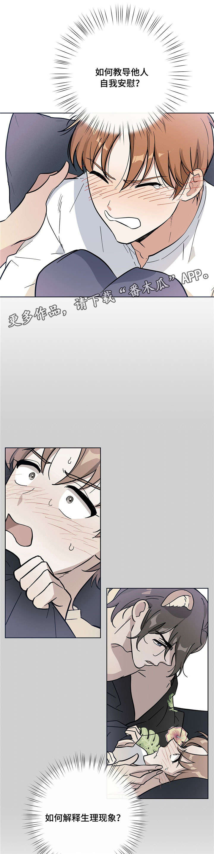 逃婚王子第9话图