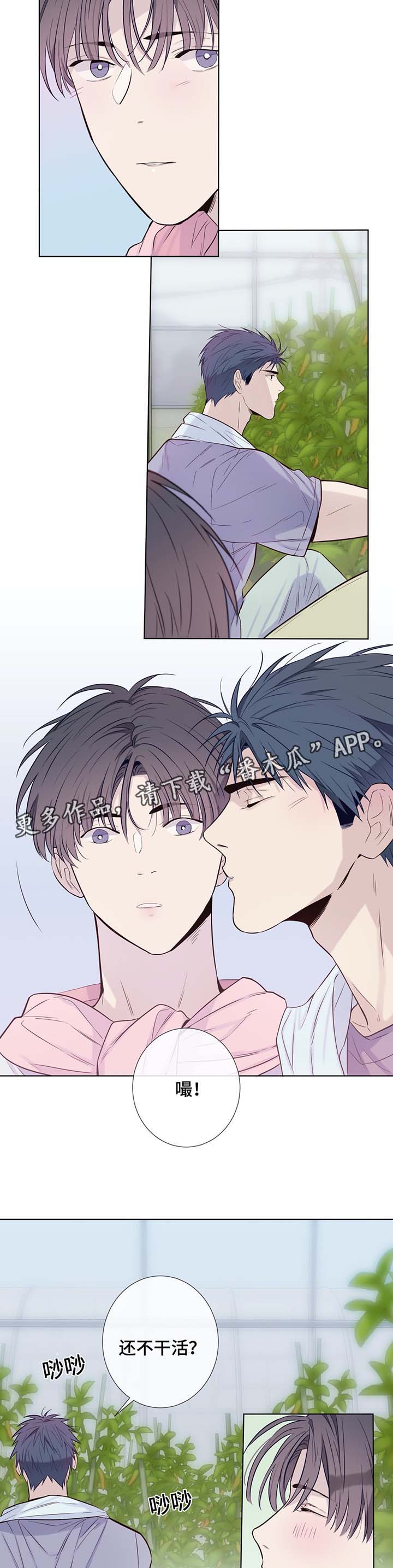 田园一夏第31话图