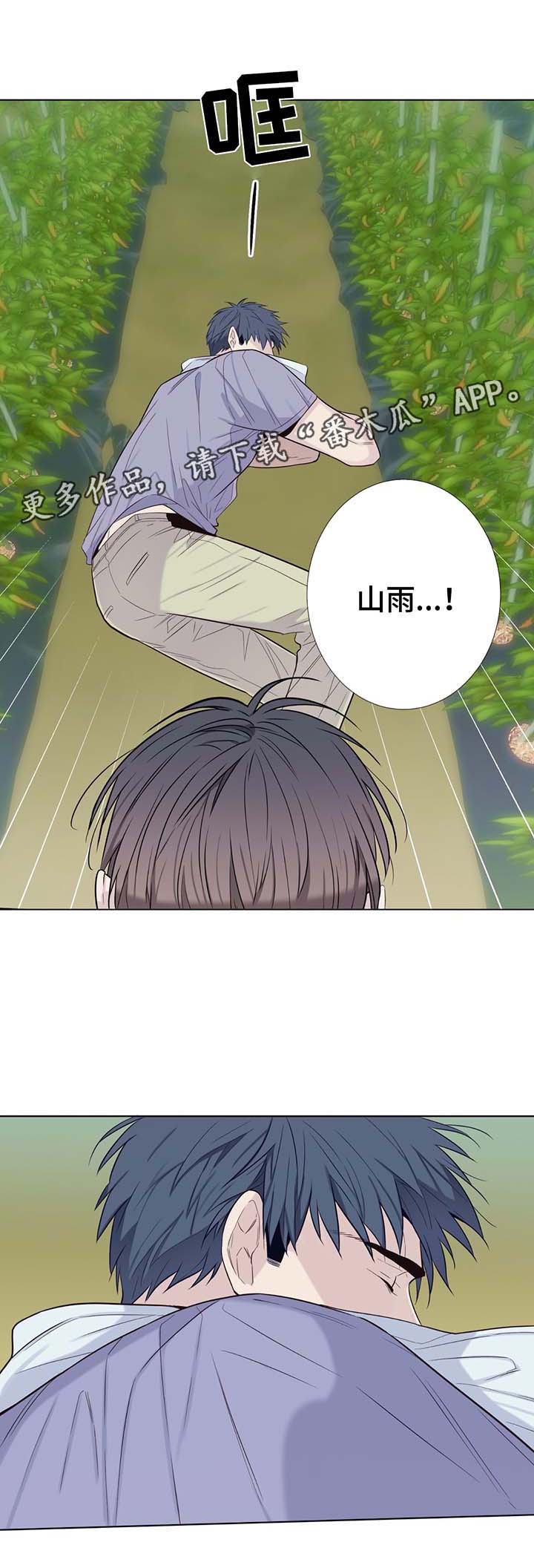 田园一夏第32话图