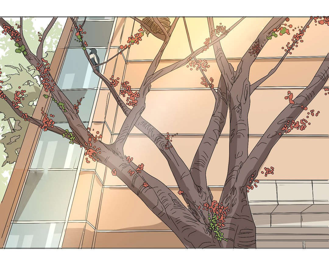 他的恶作剧第9话图