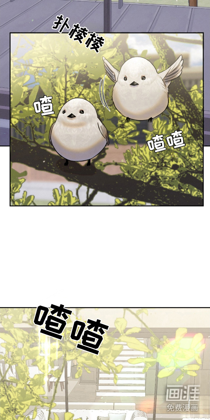 特殊偿还第16话图