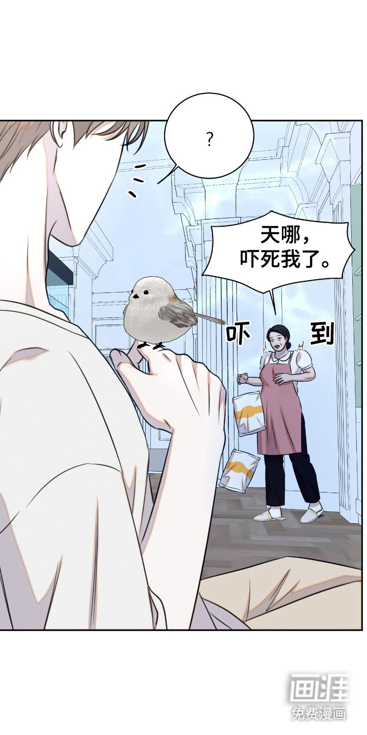 特殊偿还第21话图