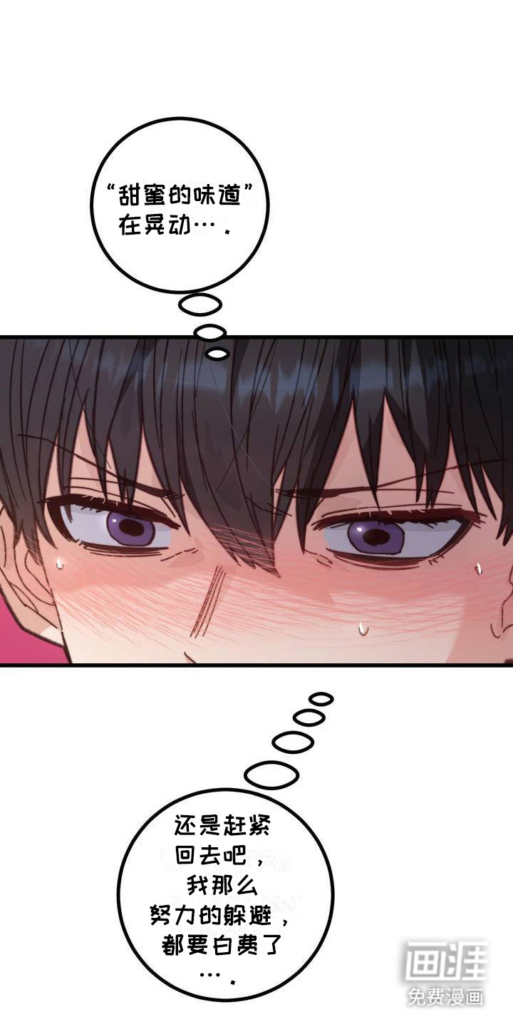 甜蜜共生第3话图
