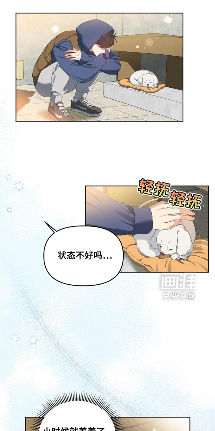 甜蜜的贿赂漫画-图11