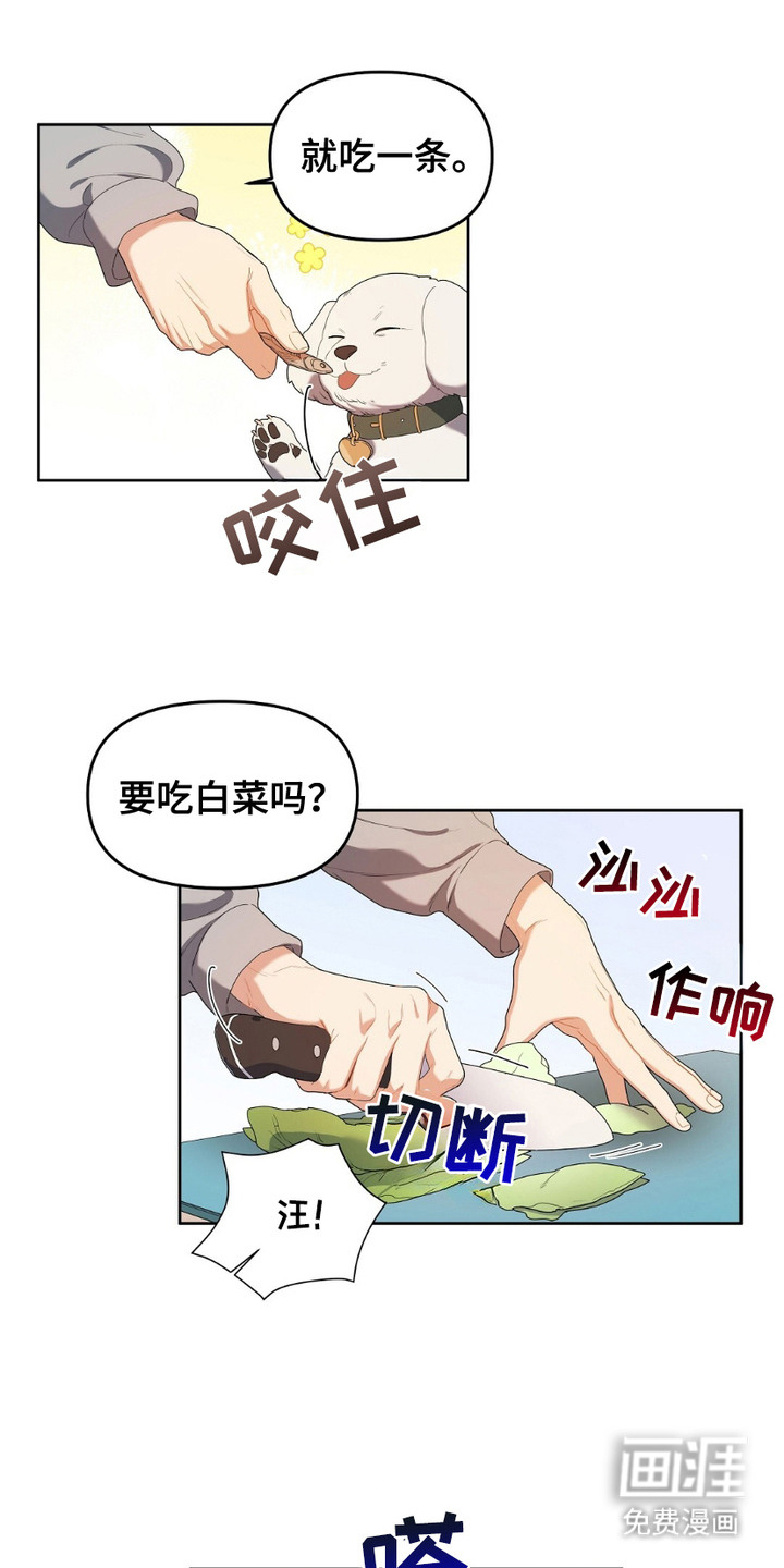 甜蜜的贿赂漫画-图13