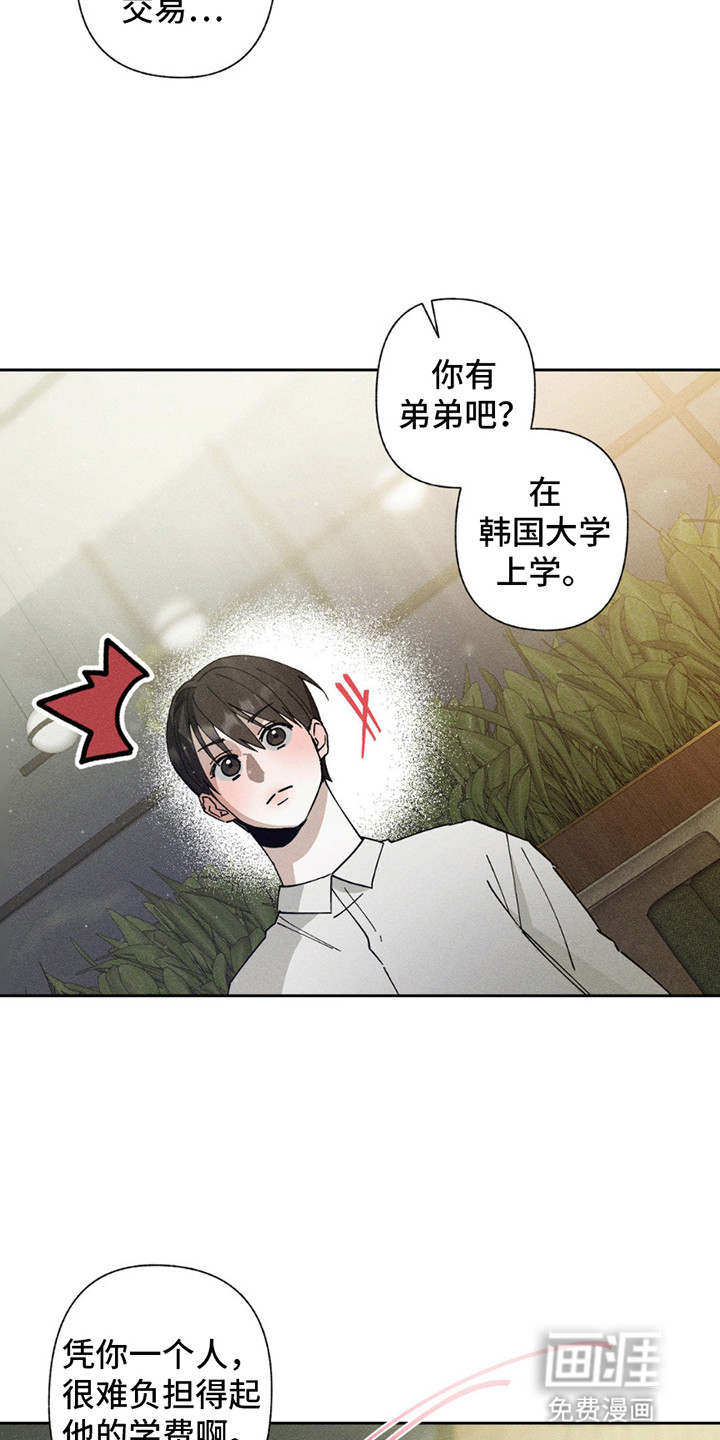 特写爱意第4话图