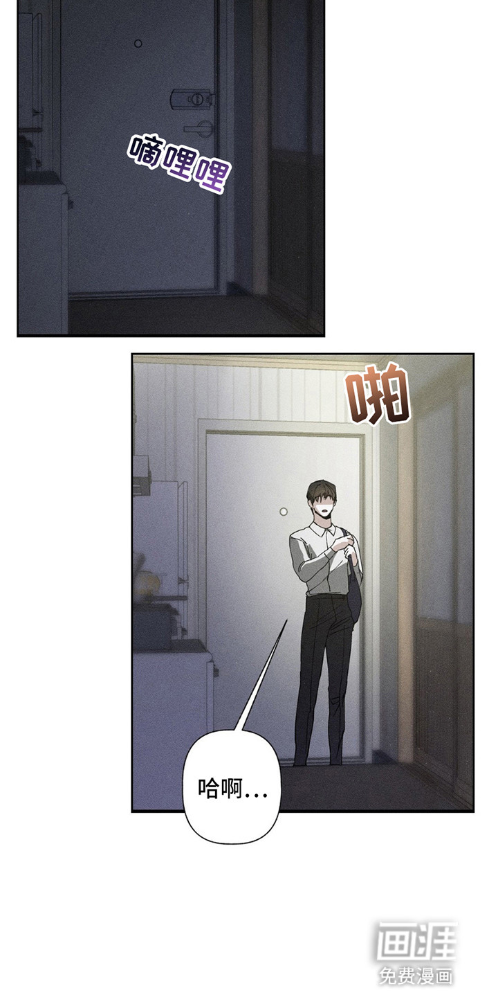 特写爱意第5话图