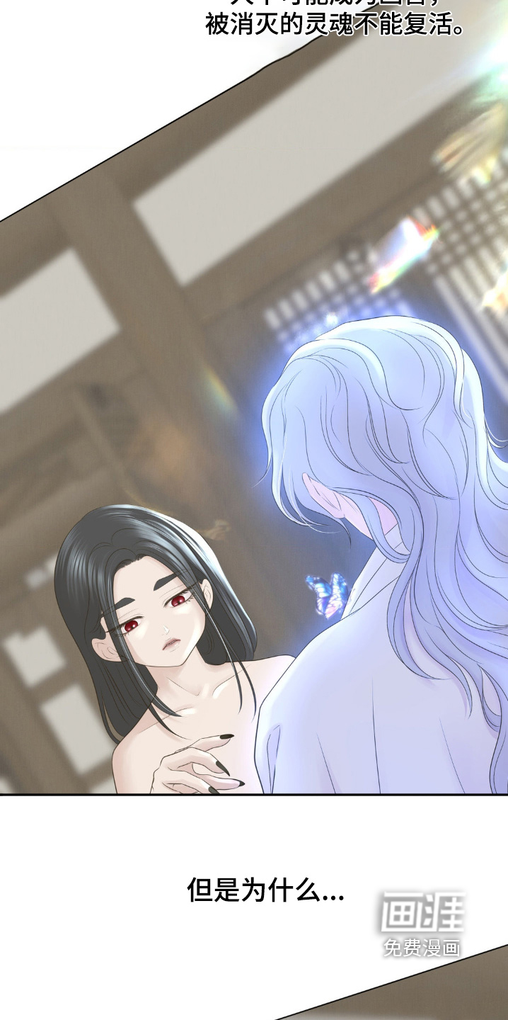 桃花香第26话图