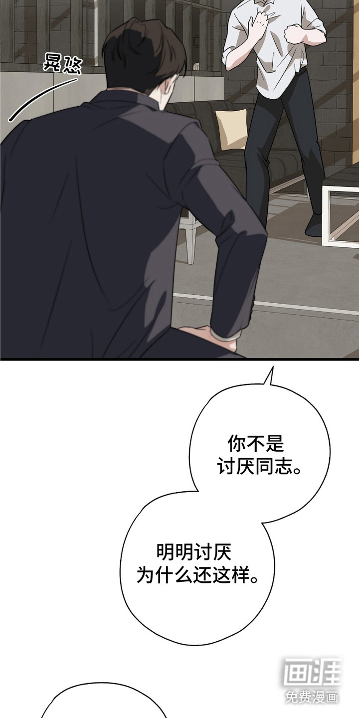 糖果契约第11话图