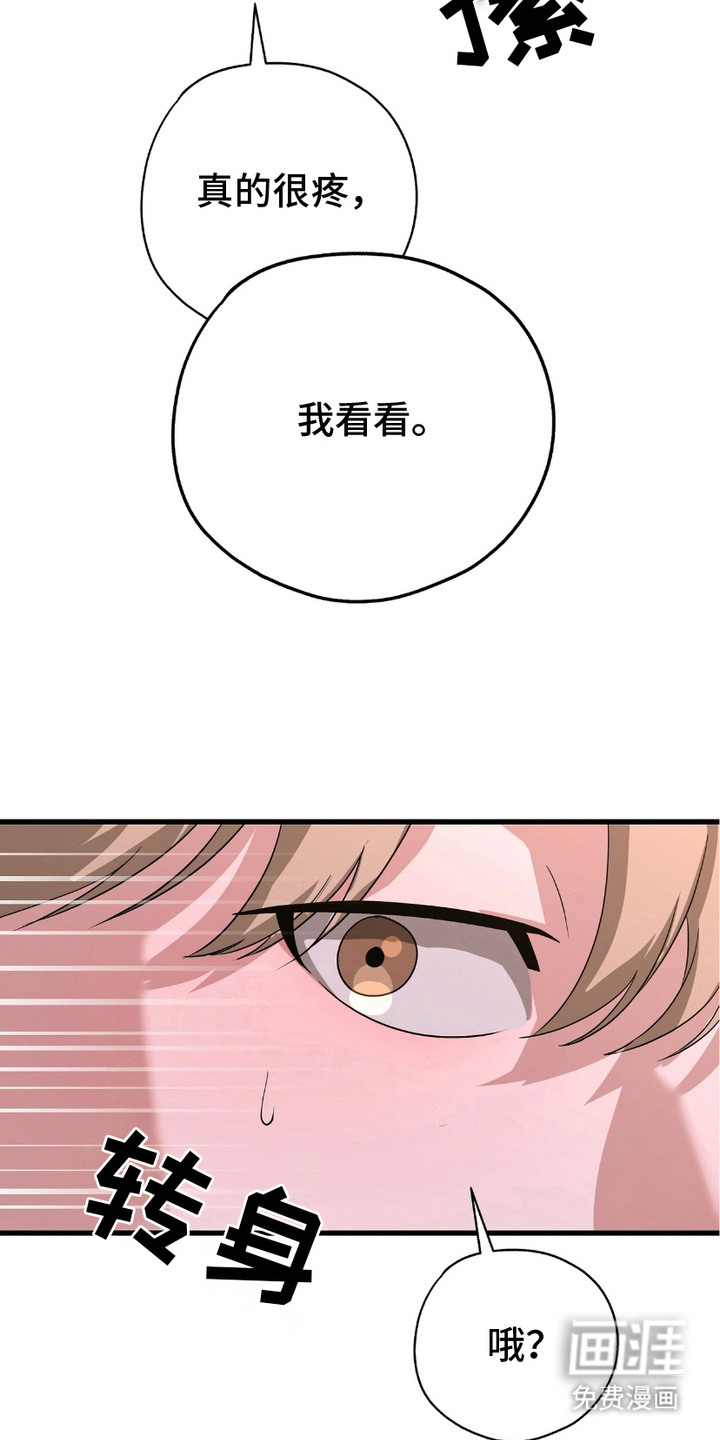 糖果契约第18话图