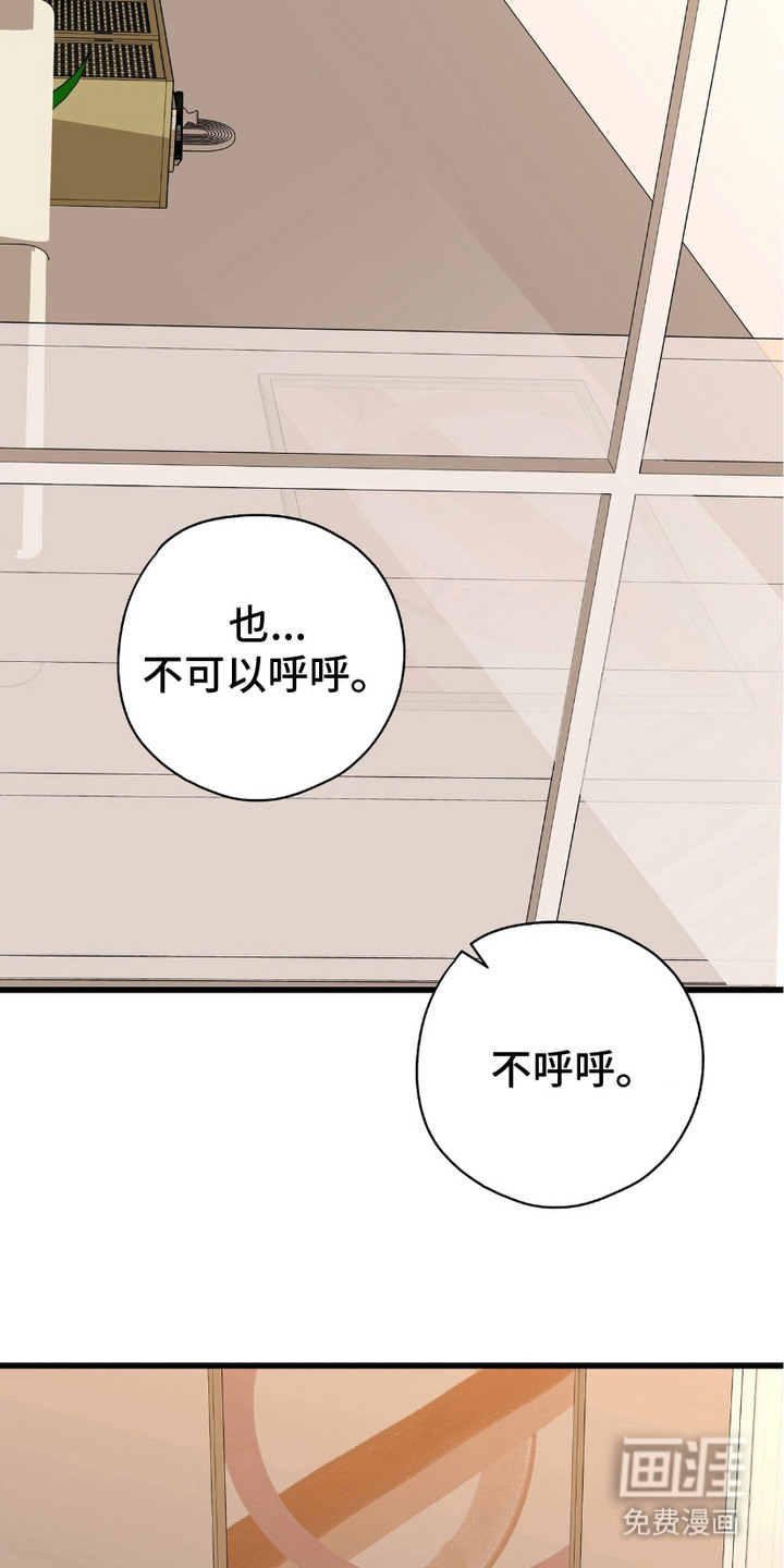 糖果契约第19话图