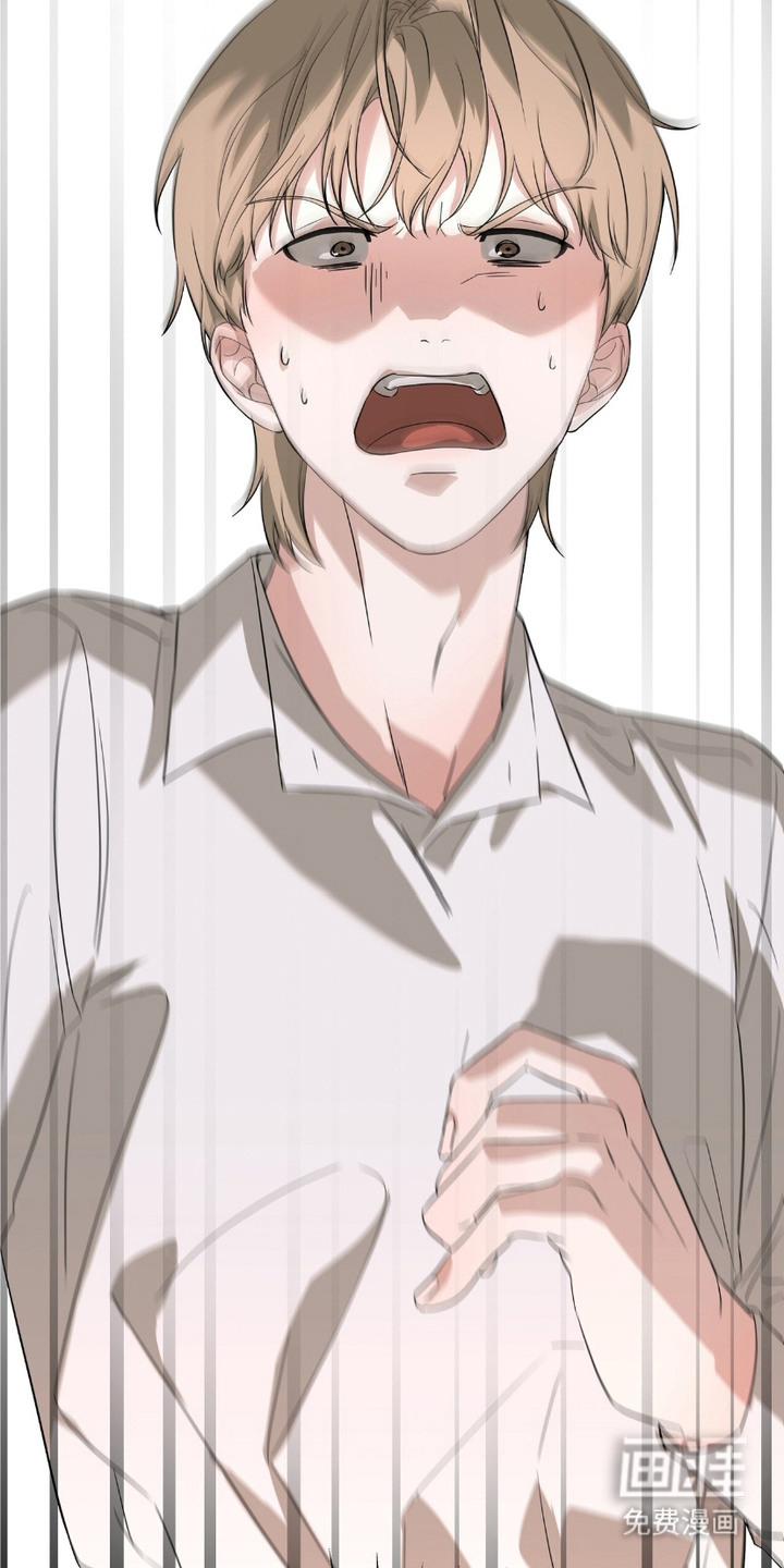 糖果契约第4话图