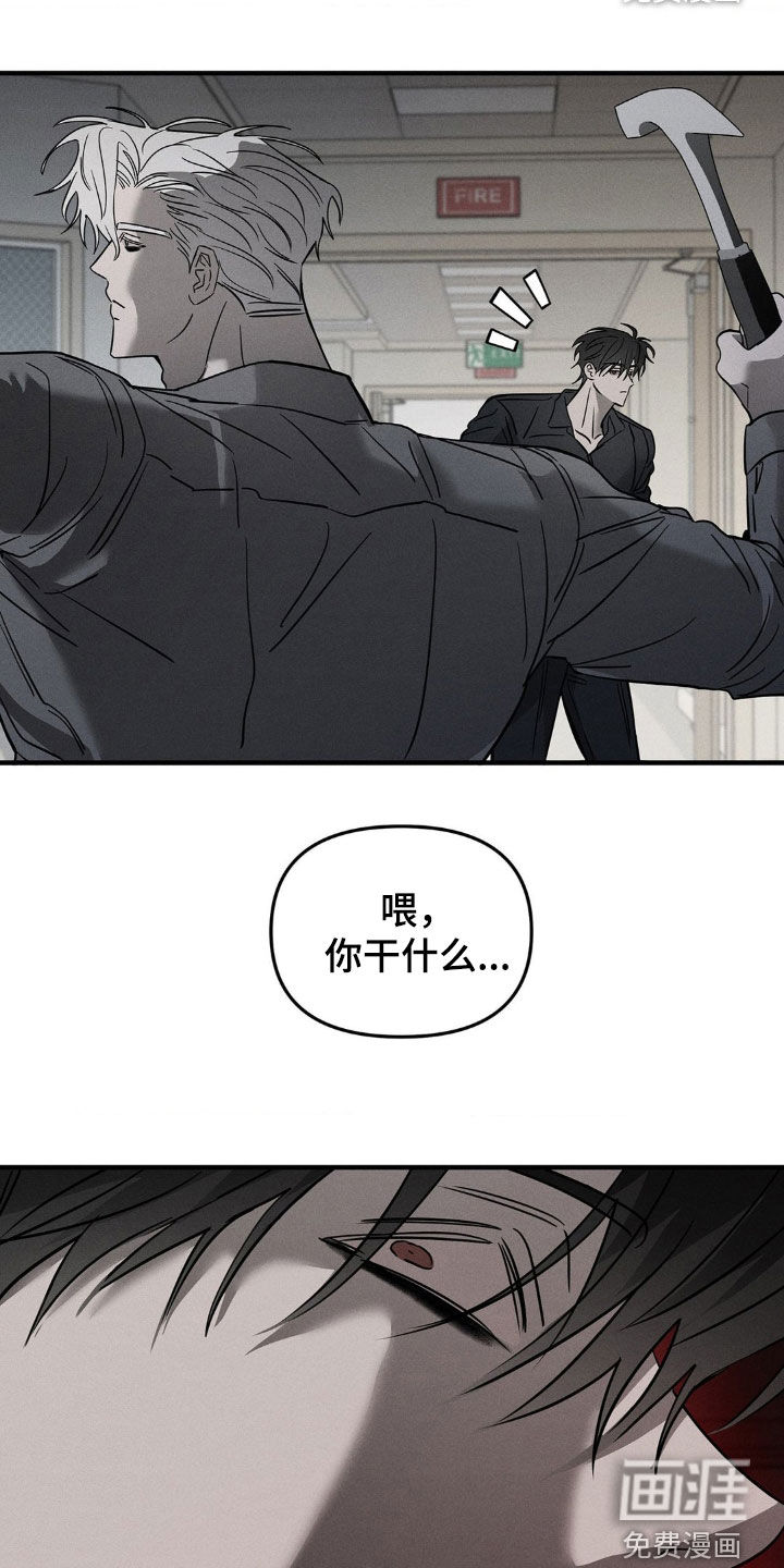 逃离地下室第17话图