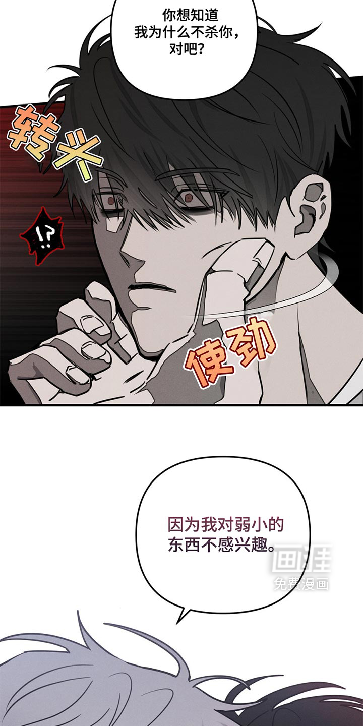 逃离地下室第5话图