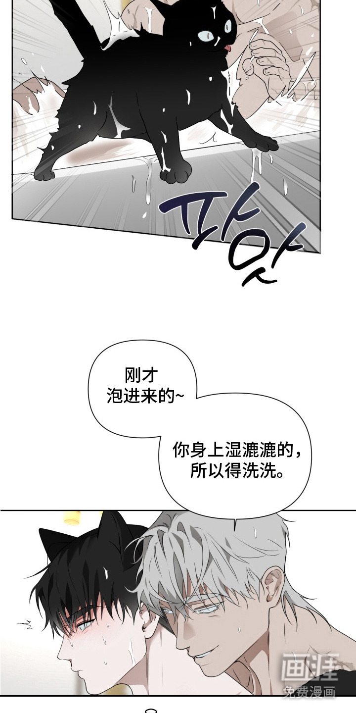 特殊开发驯服偶像漫画-图15
