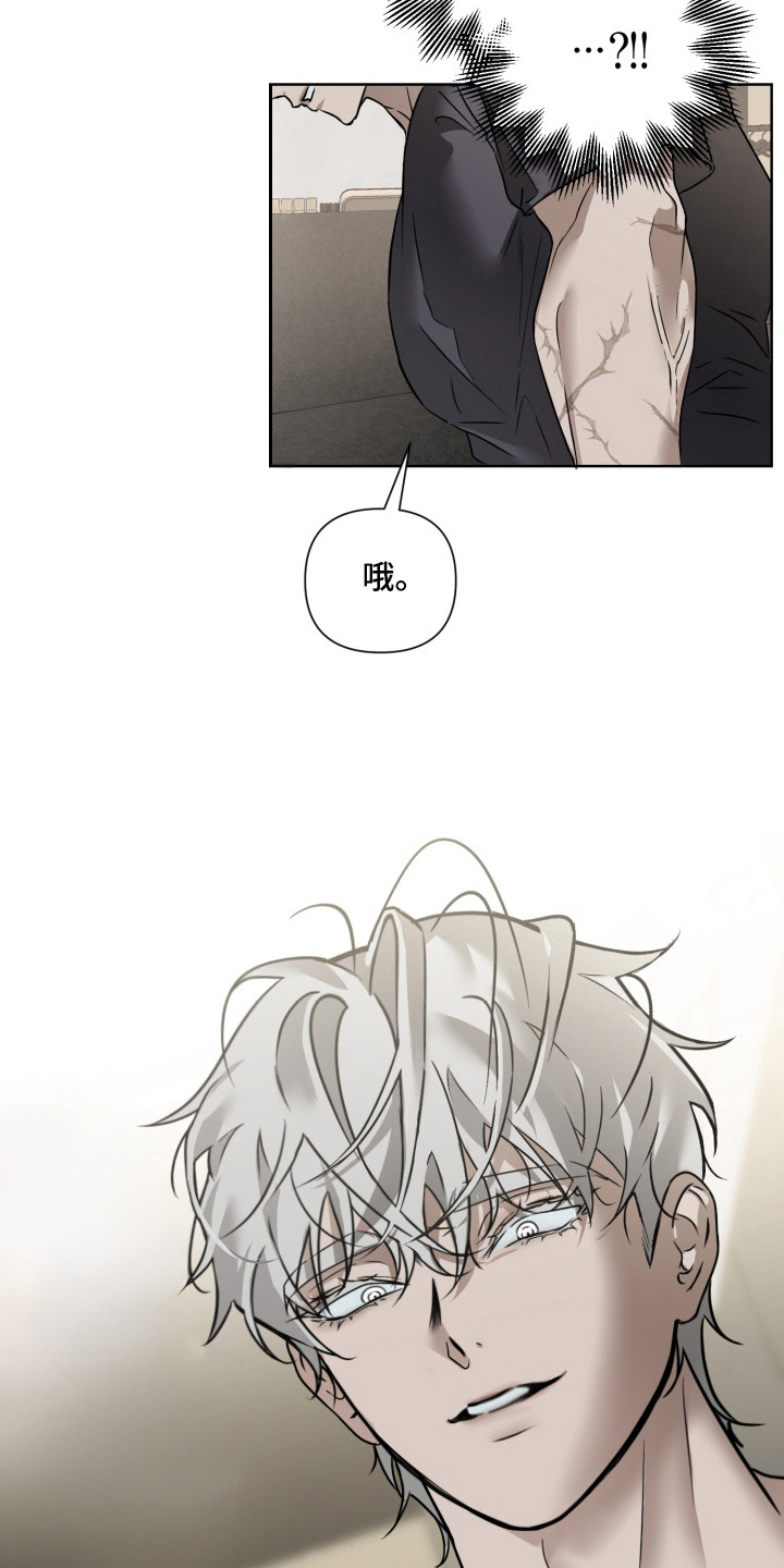 特殊开发驯服偶像漫画-图2