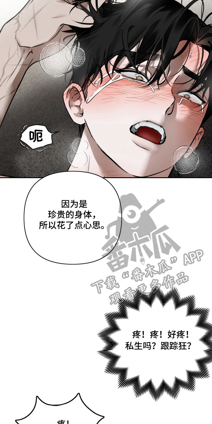 特殊开发驯服偶像漫画-图7
