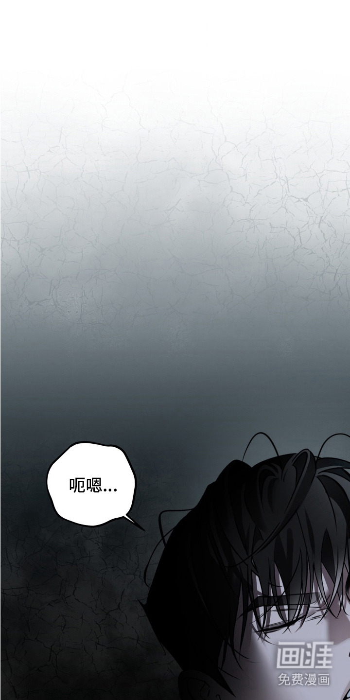 特殊开发驯服偶像第5话第1页