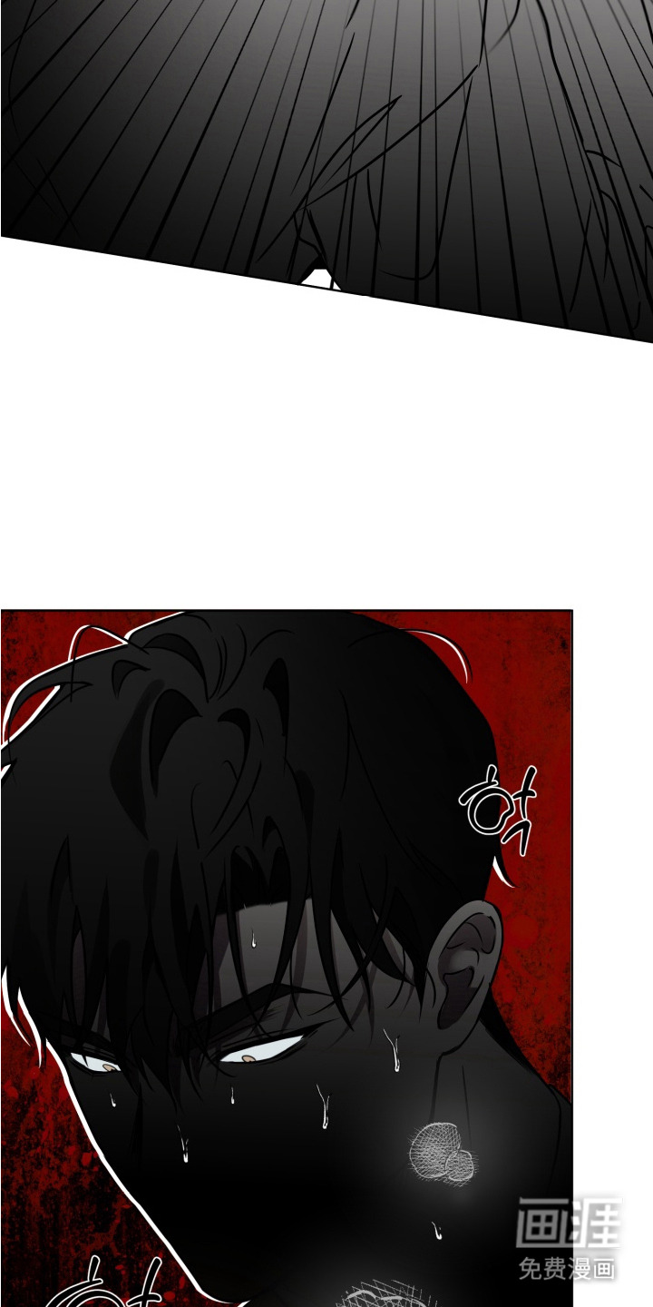 特殊开发驯服偶像漫画-图2