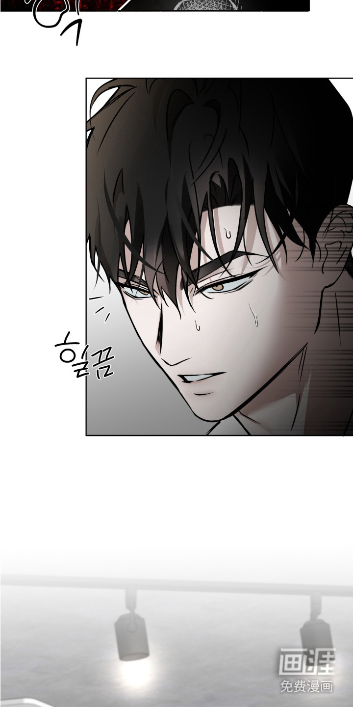 特殊开发驯服偶像漫画-图3