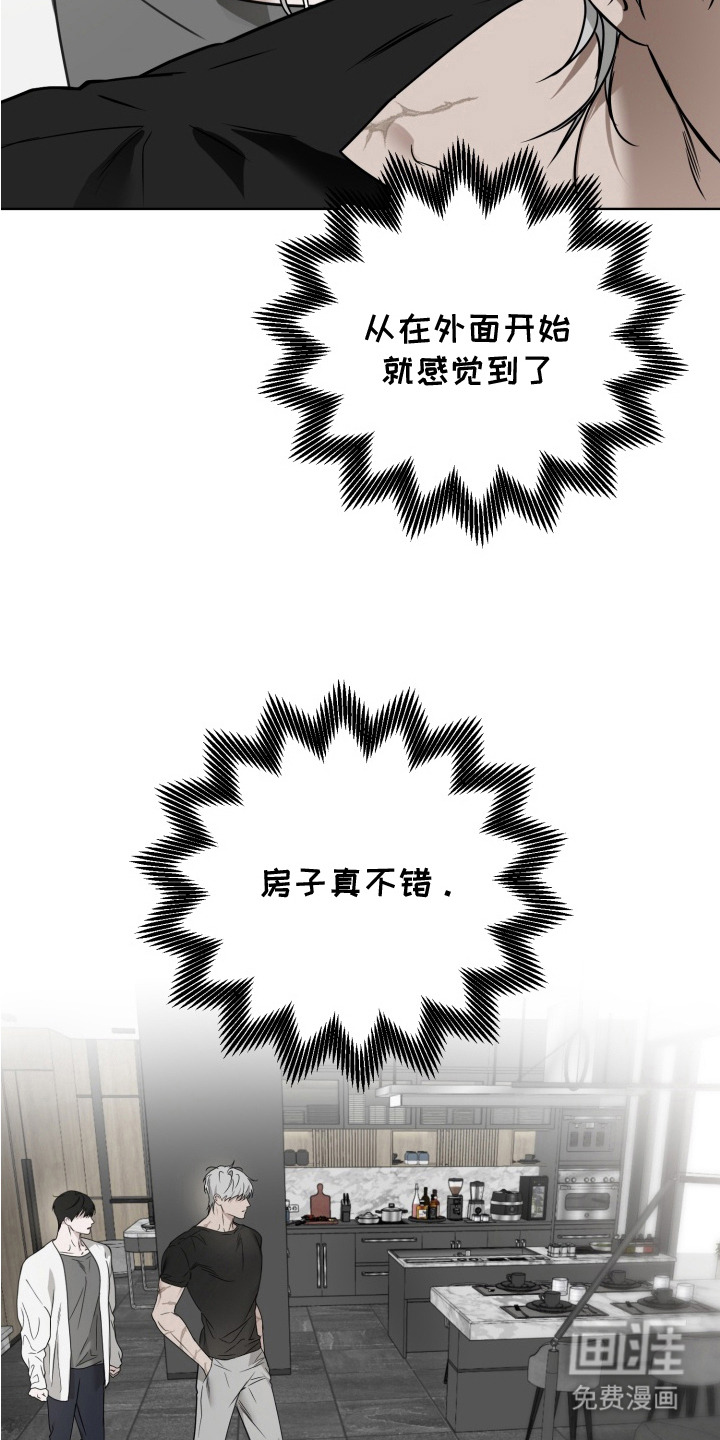 特殊开发驯服偶像漫画-图10