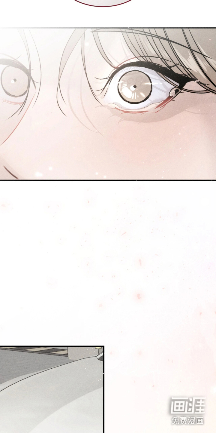 糖衣陷阱 第1话 第12页